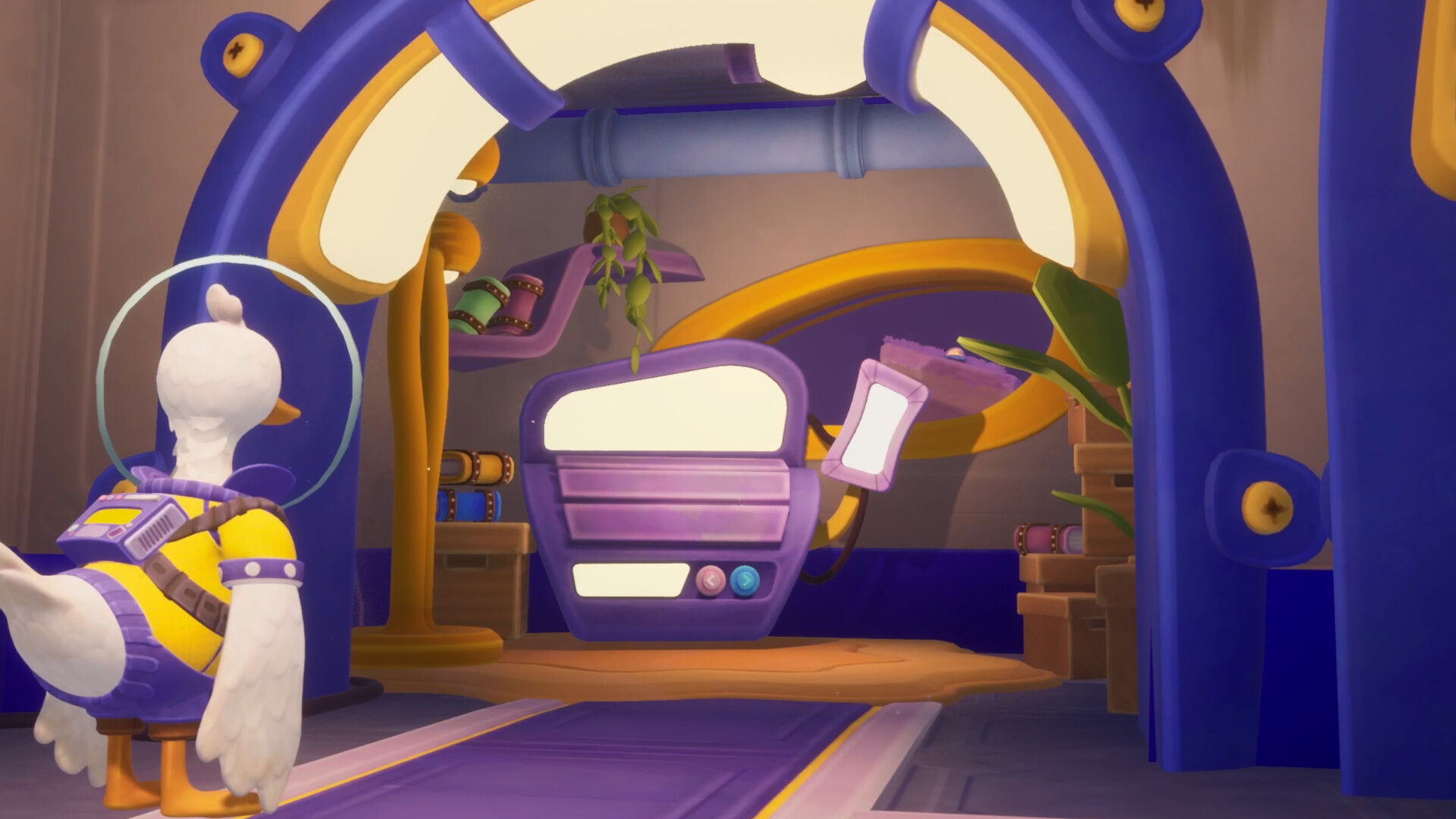 	Duck Side of the Moon #9