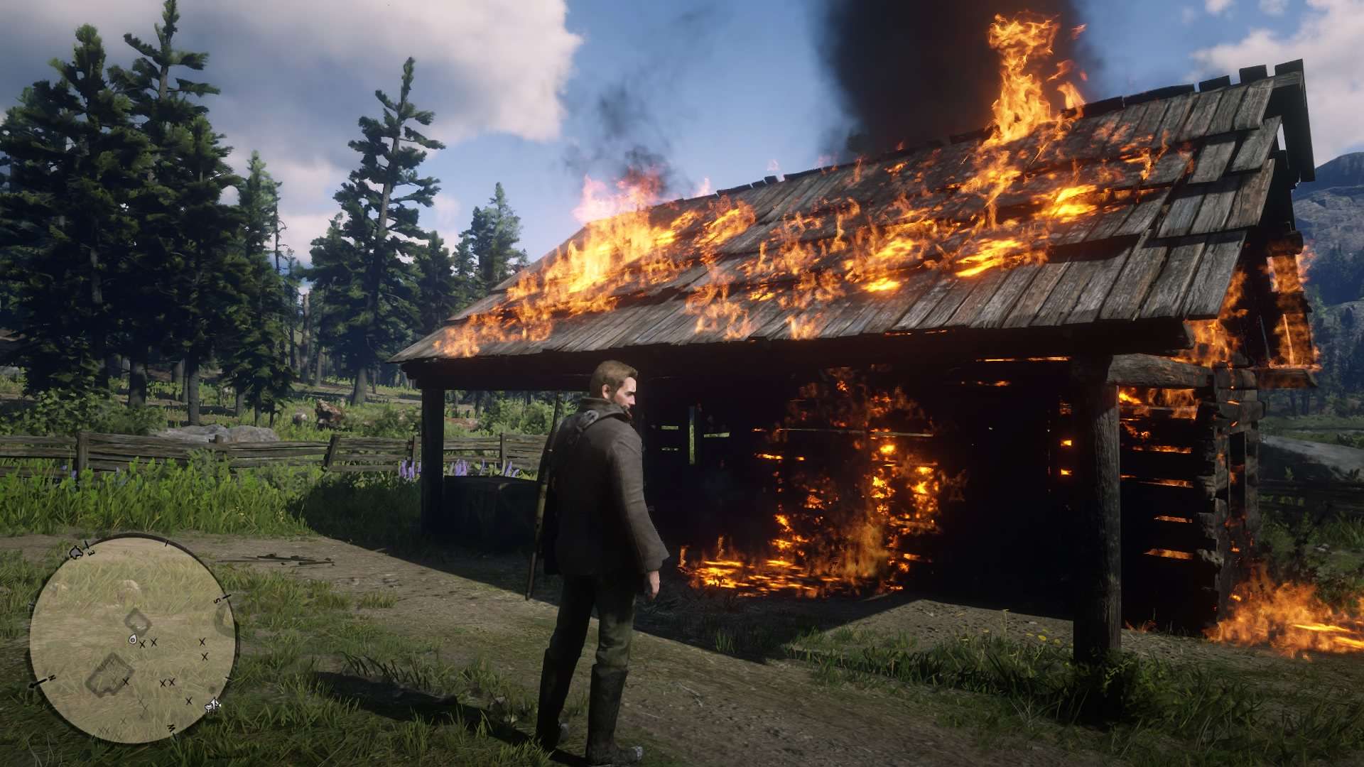 "Mistrzowskie promocje" Cenegi