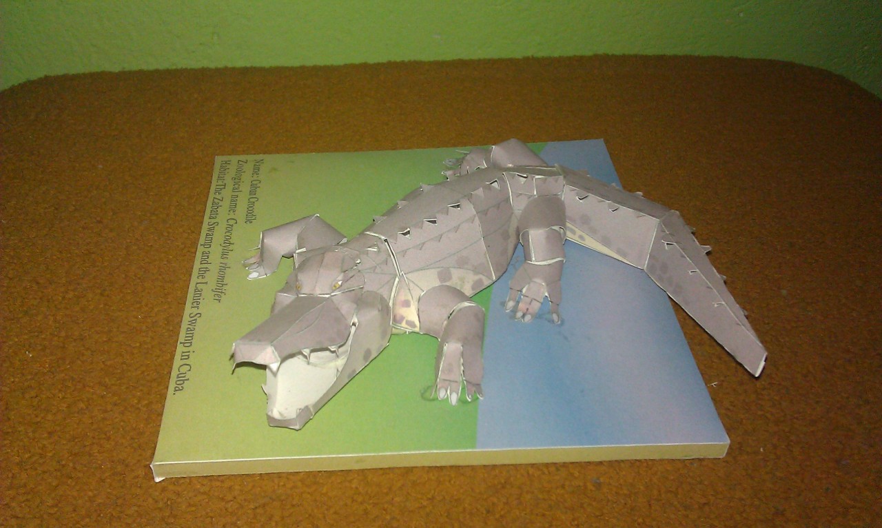 Retromuzyka: Cannon F. vs Donkey KC +bonus