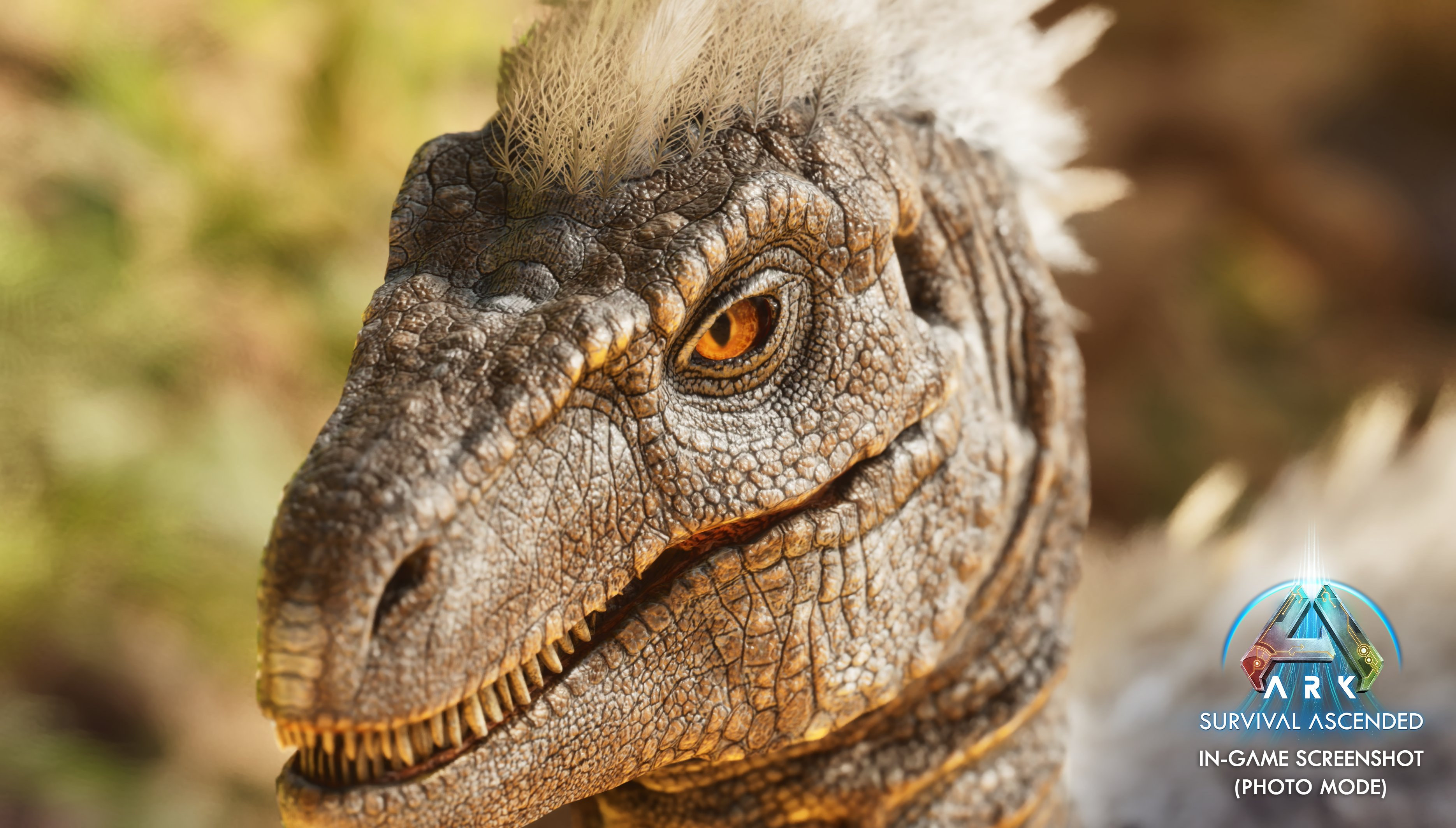 ARK