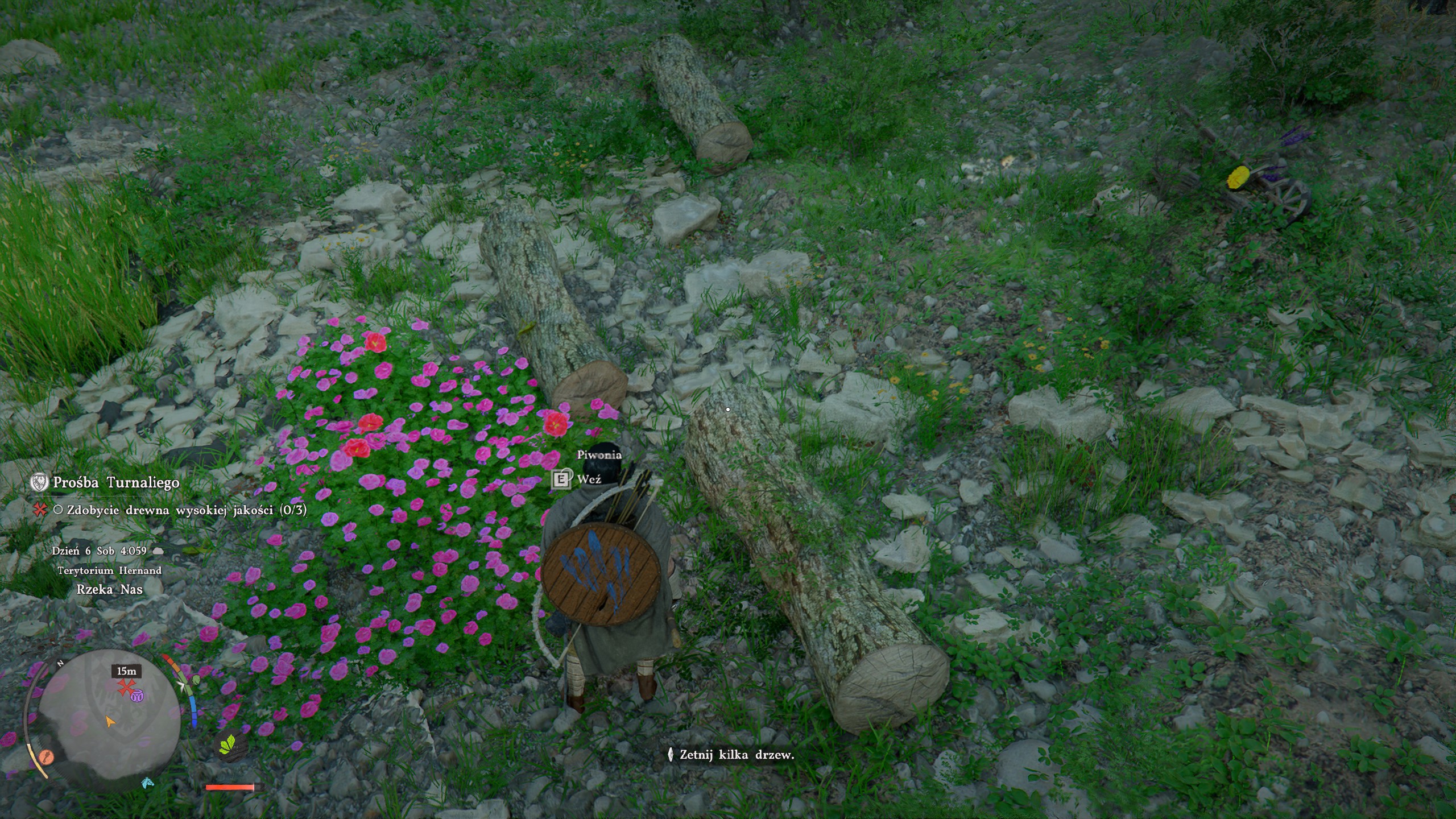 Crimson Desert - Prośba Turnaliego: drwal, siekiera