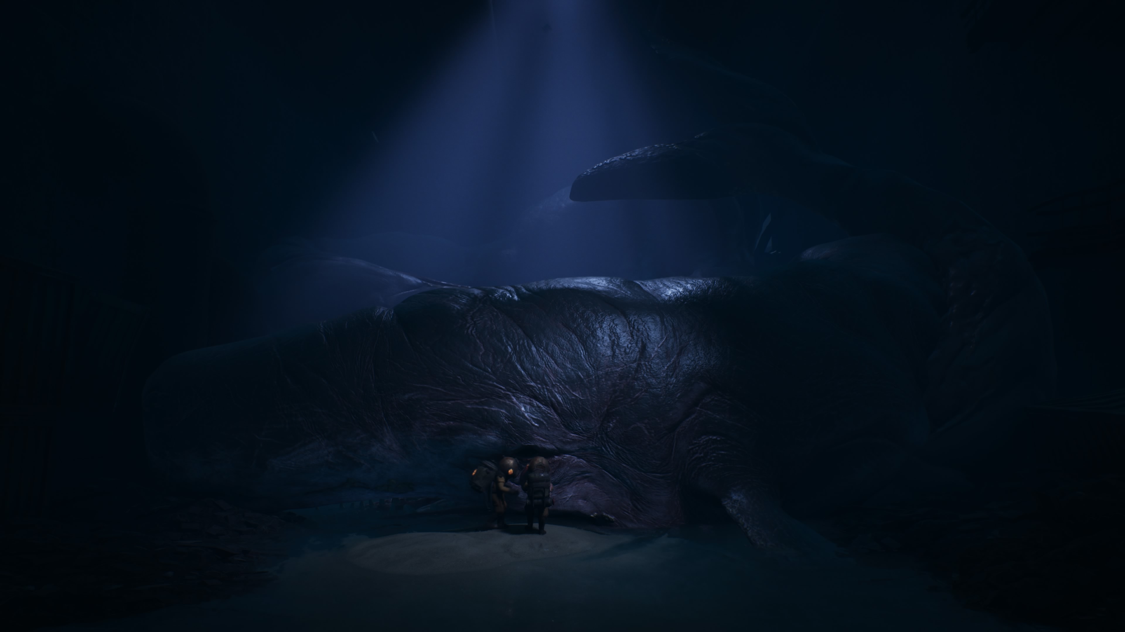 Reanimal - recenzja gry #8