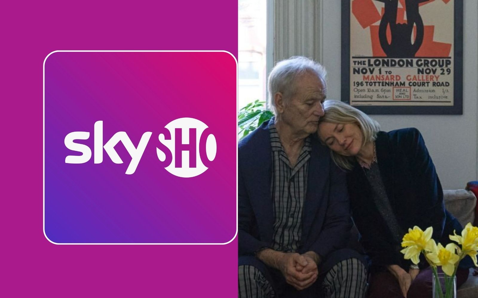 SkyShowtime Przyjaciel