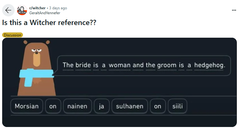 Witcher Duolingo