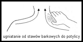 David Cage: "Wii to tylko zabawka"