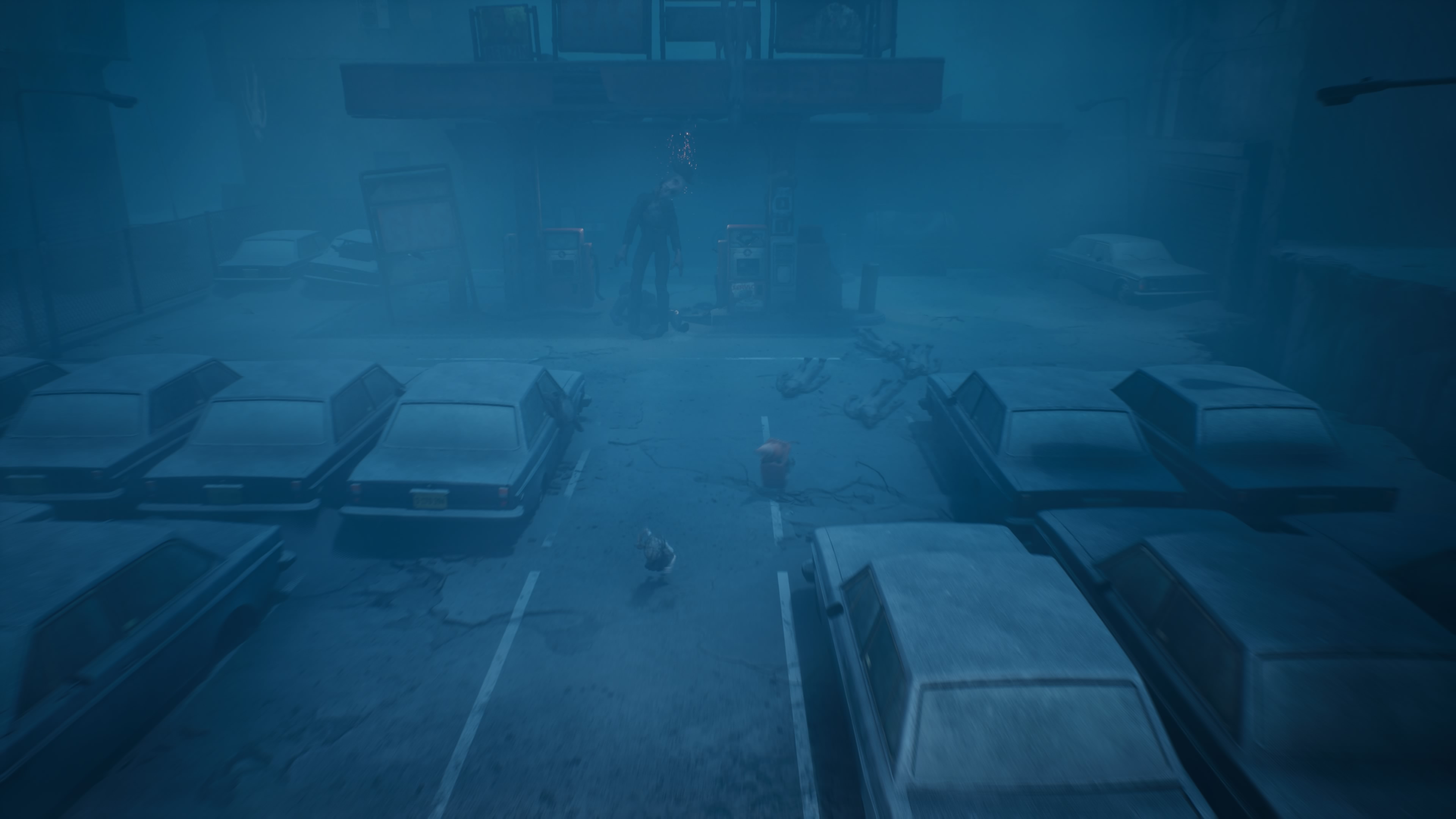 Reanimal - Akt 1: Dom oczyszczenia, opis przejścia, znajdźki