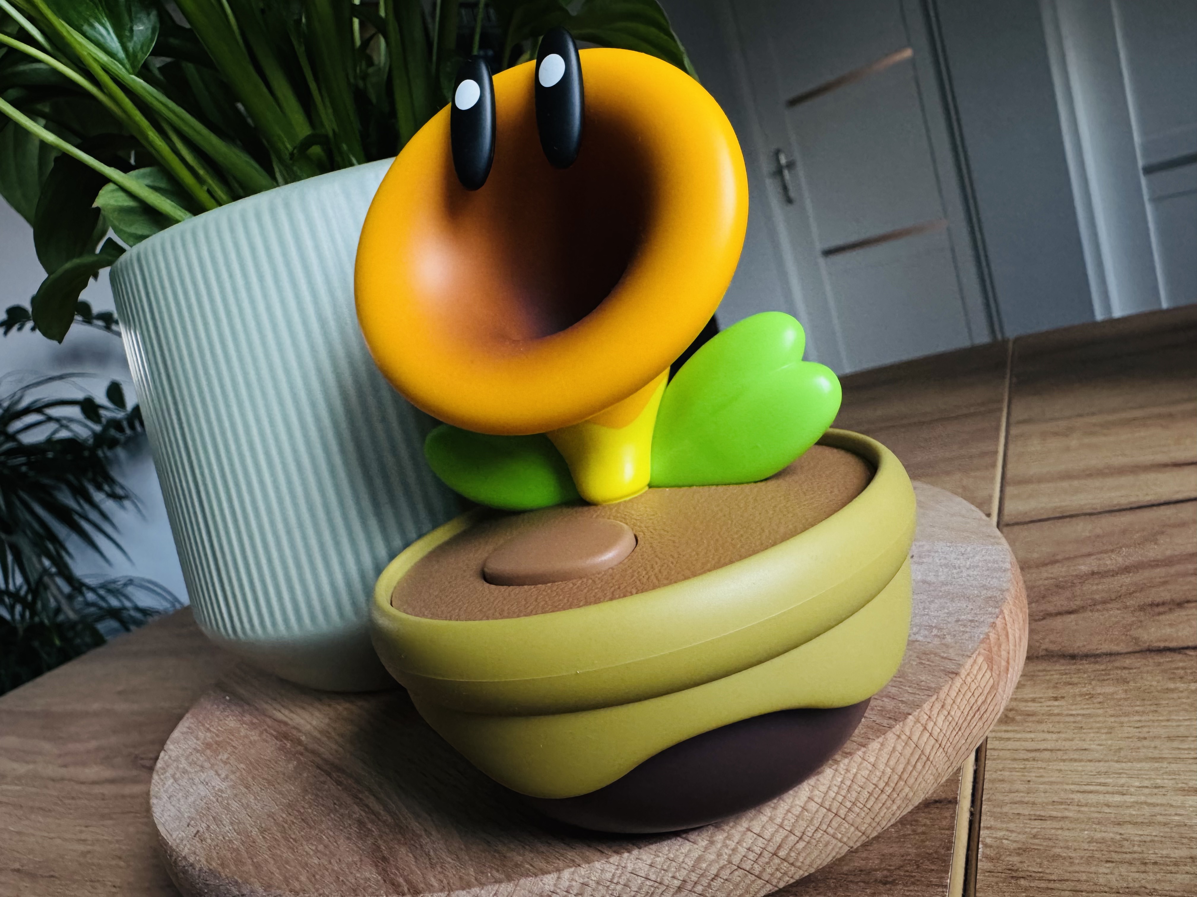 Nintendo Talking Flower - recenzja. Piękny kwiatek