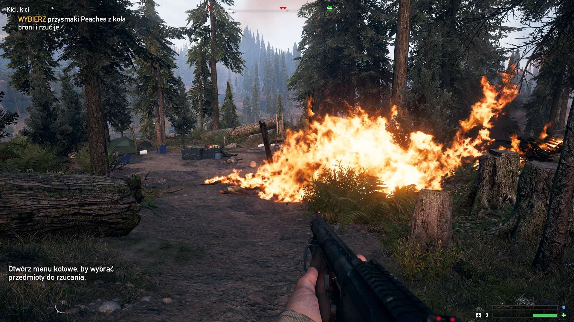 Seksowna promocja Shadows of the Damned