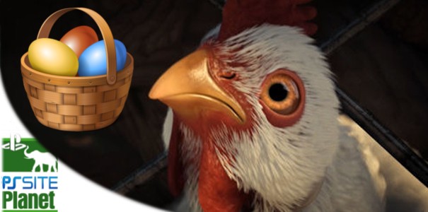 PS Site Planet: Z DualShockiem wśród zwierząt – Kurczaki