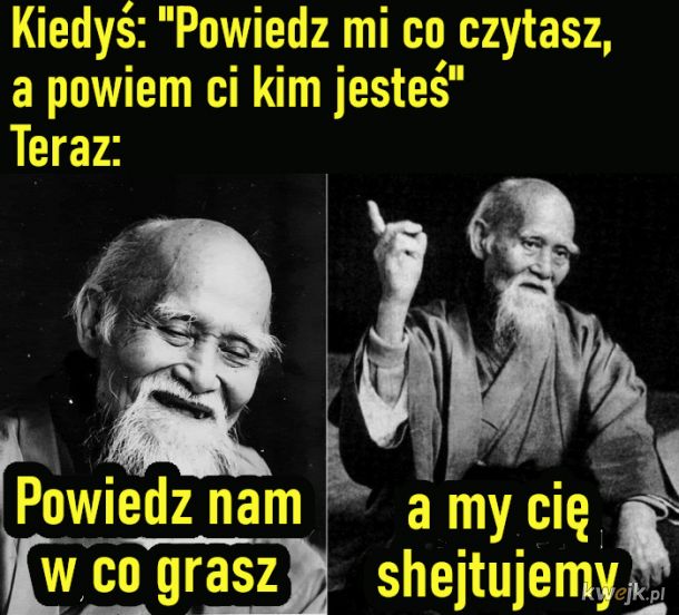 user-17255 blog gallery image