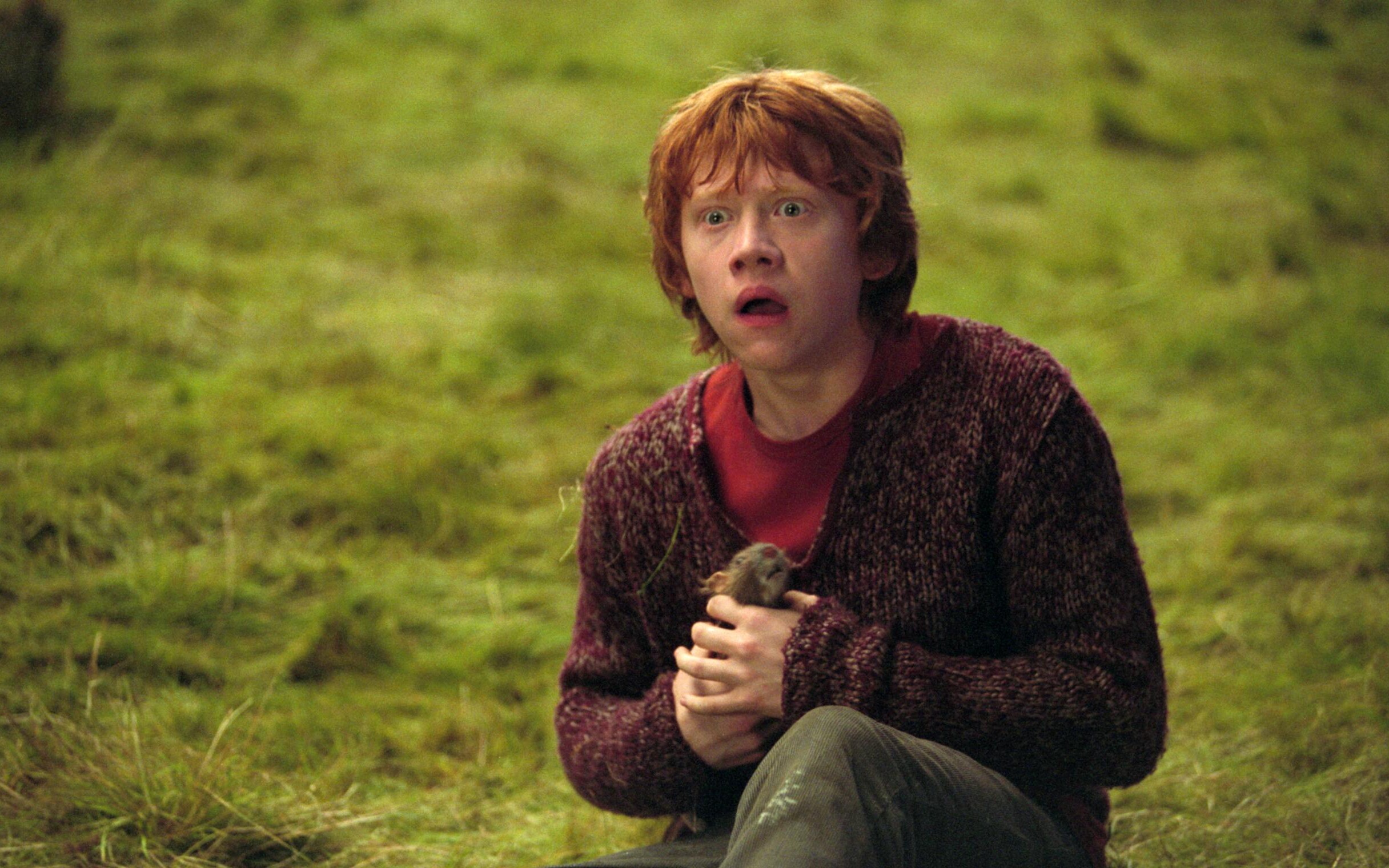 Harry Potter obsadził Rona Weasleya. HBO zgodnie z materiałem źródłowego postawiło na rudowłosego