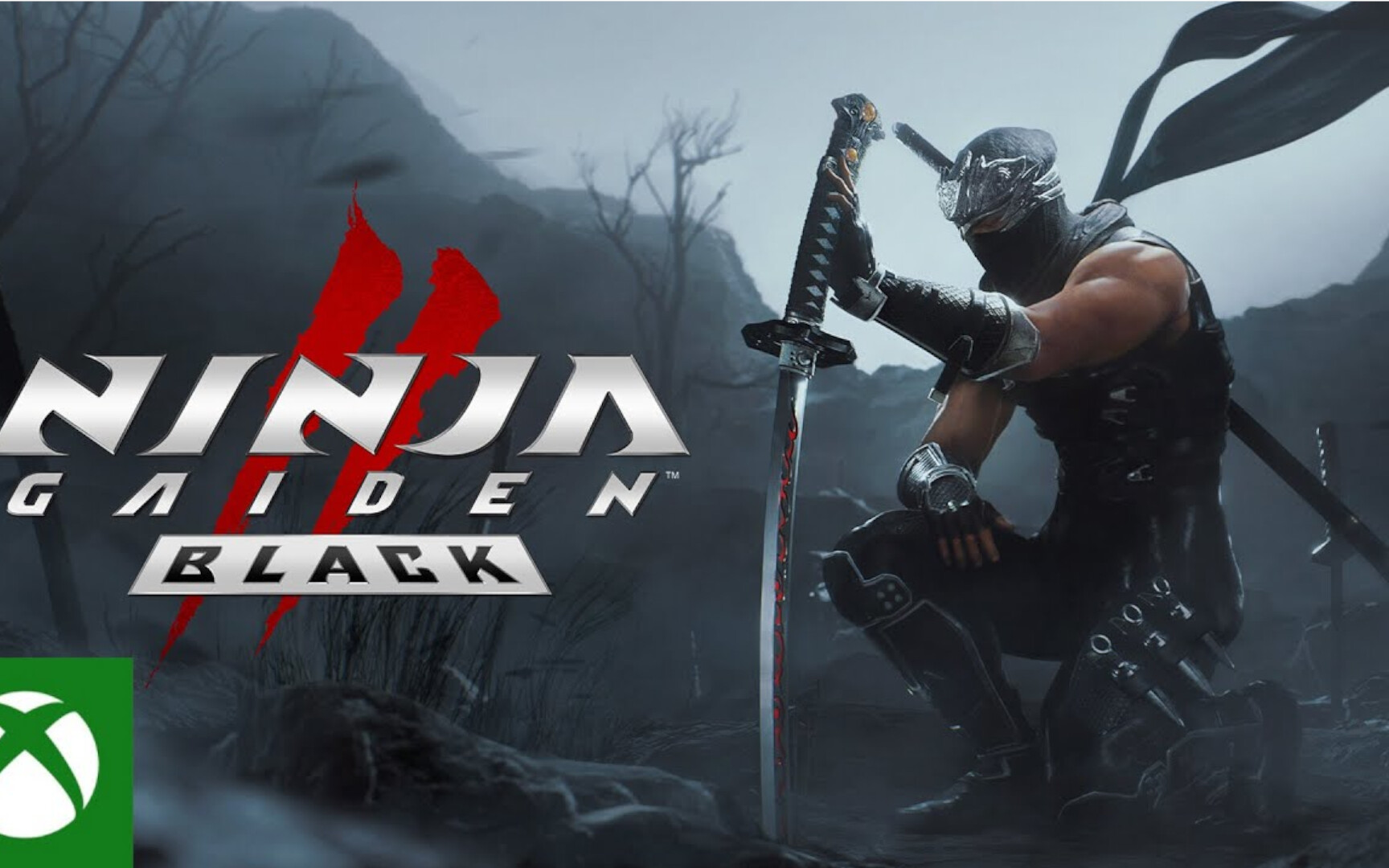 Ninja Gaiden 2 Black