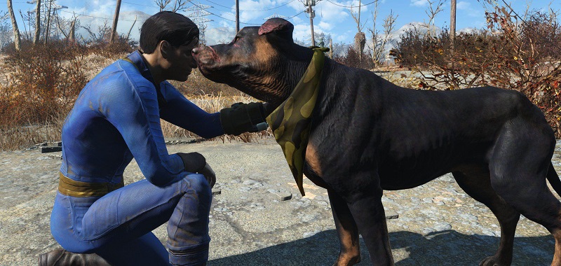 Fallout 76. Twórcy mają zamiar dodać zwierzęcych towarzyszy