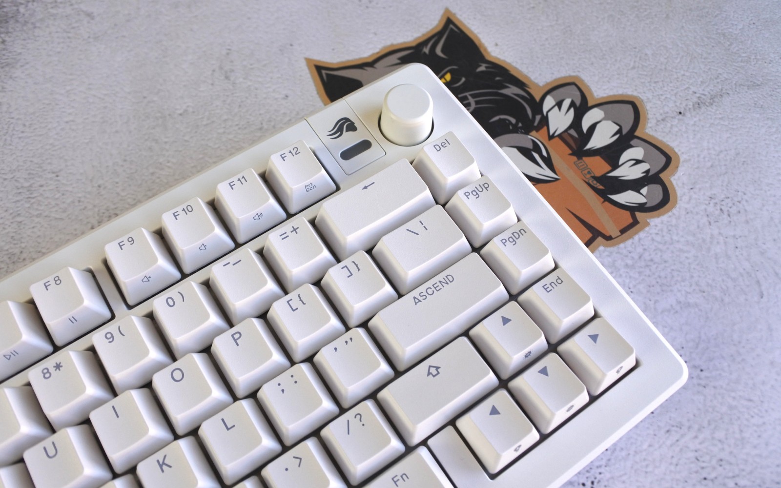 user-41230 main blog image