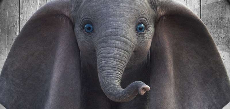 Dumbo – recenzja filmu. Przygarnij słonia