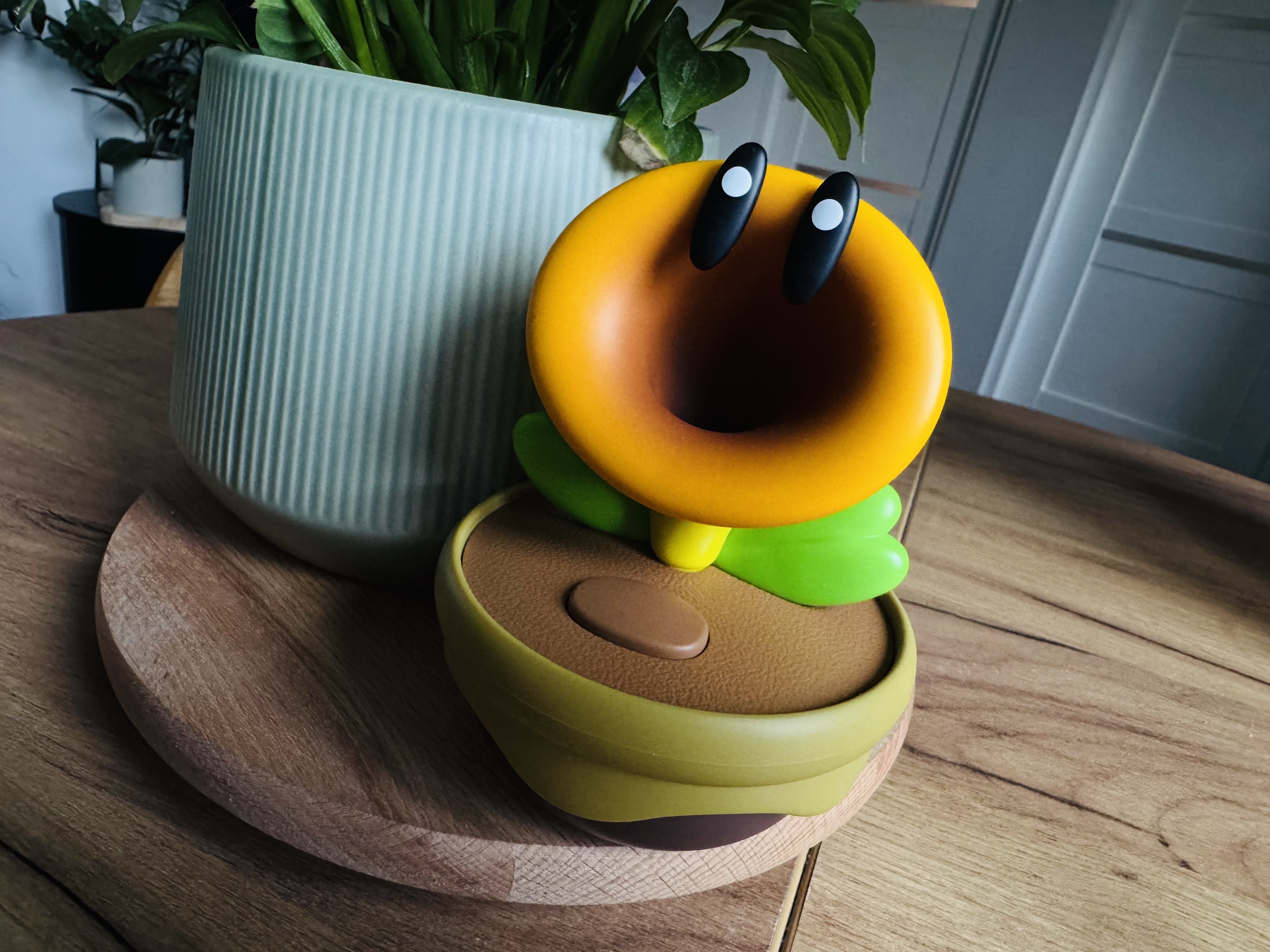 Nintendo Talking Flower - recenzja. Kwiatek z bliska