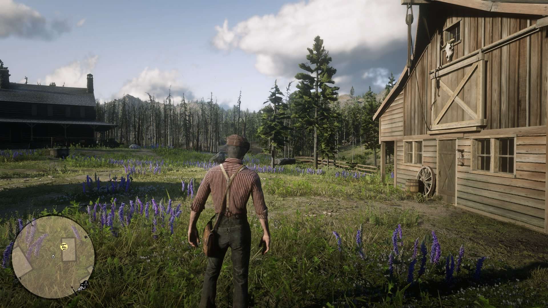 &quot;Mistrzowskie promocje&quot; Cenegi