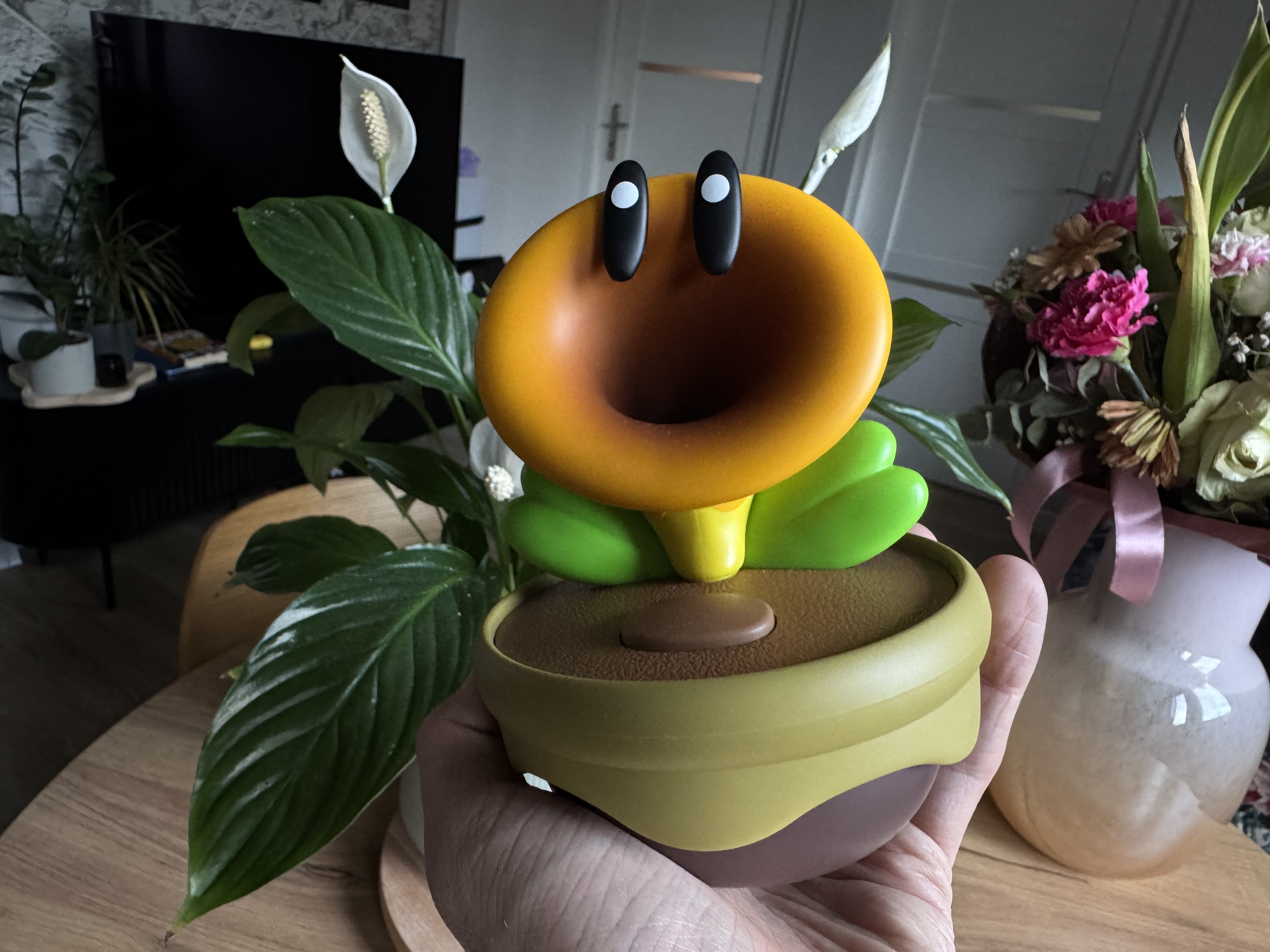 Nintendo Talking Flower - recenzja #8