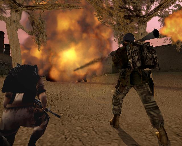 Conflict: Desert Storm II