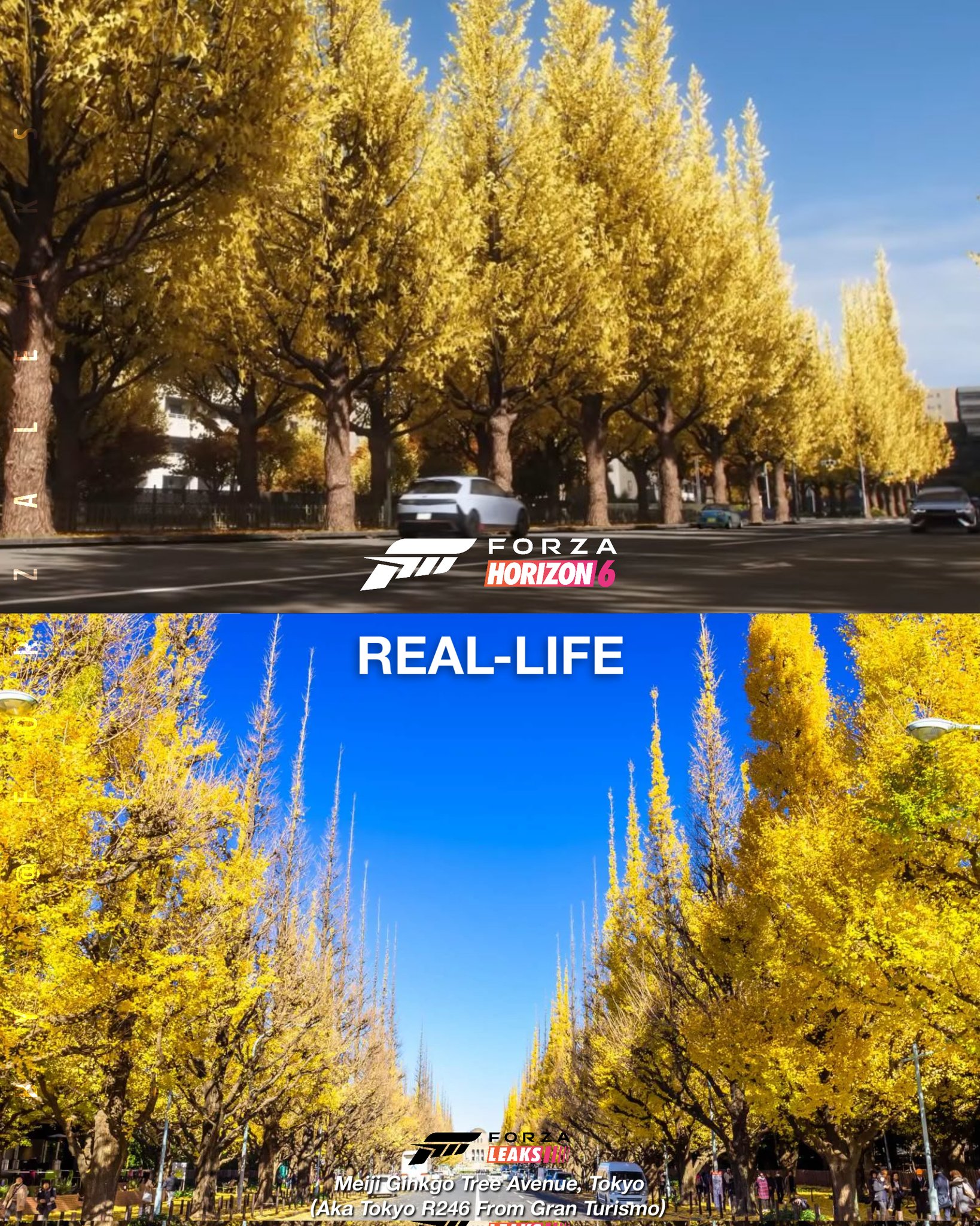 Forza Horizon 6 vs rzeczywistość #8