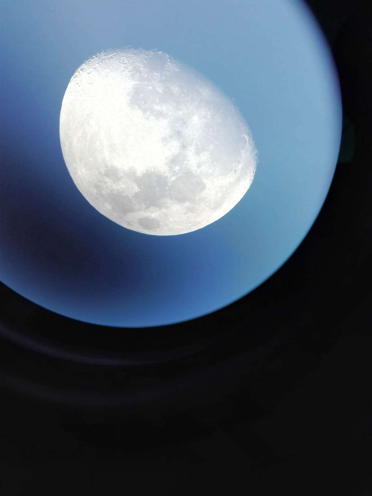 Do or Die Wrestling już 14 stycznia