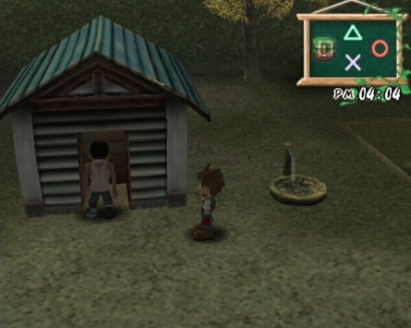 Harvest Moon: A Wonderful Life