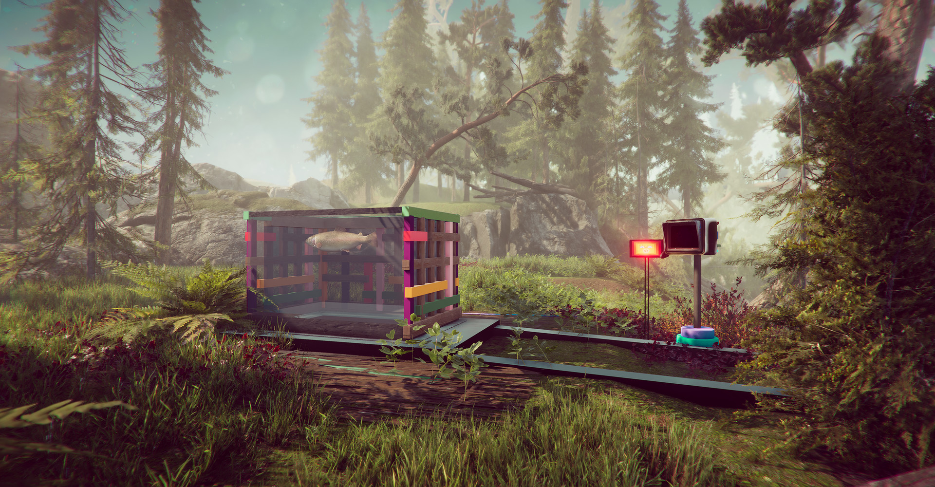 The Forest Cathedral #4
