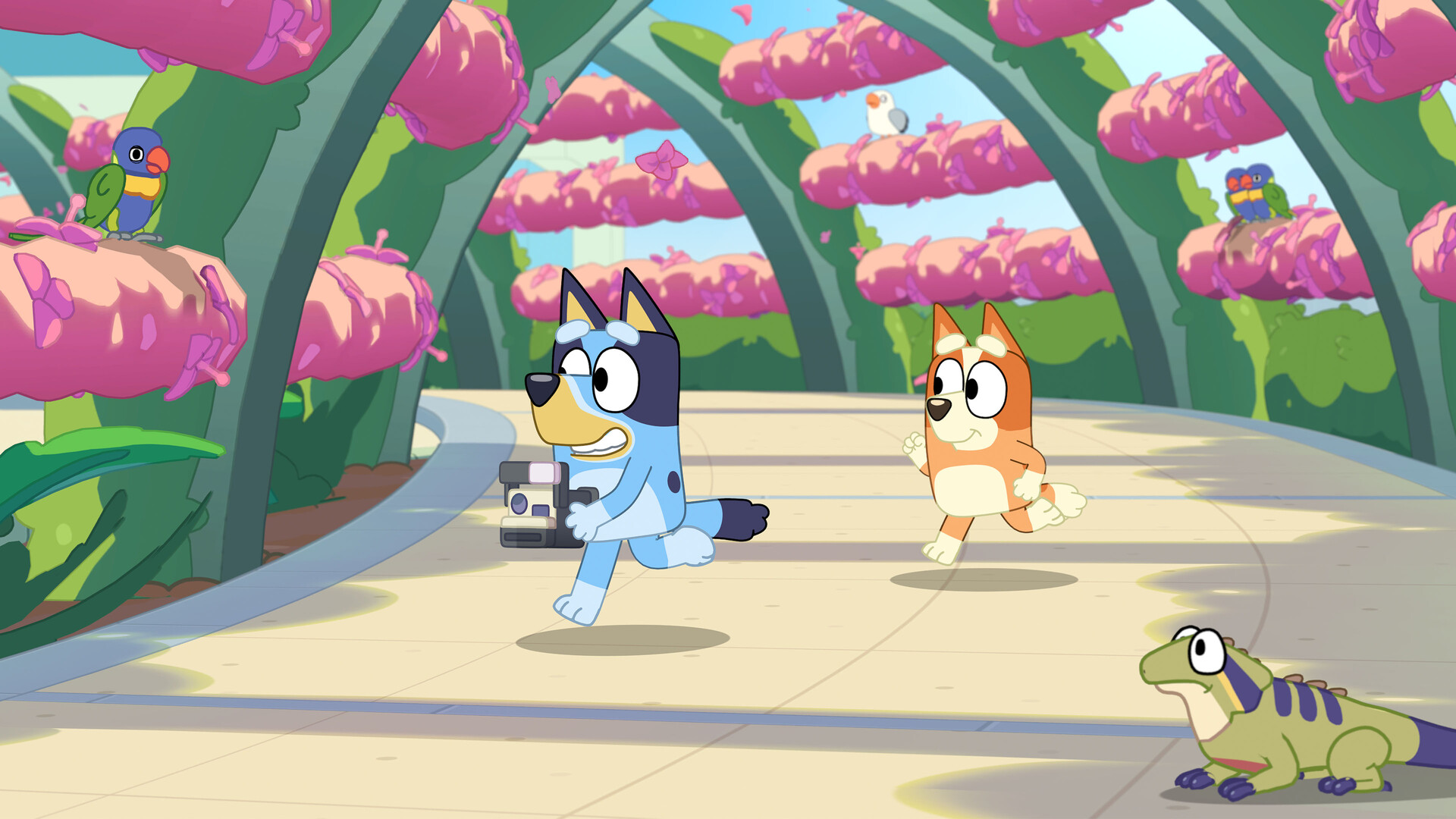 Bluey's Happy Snaps #1