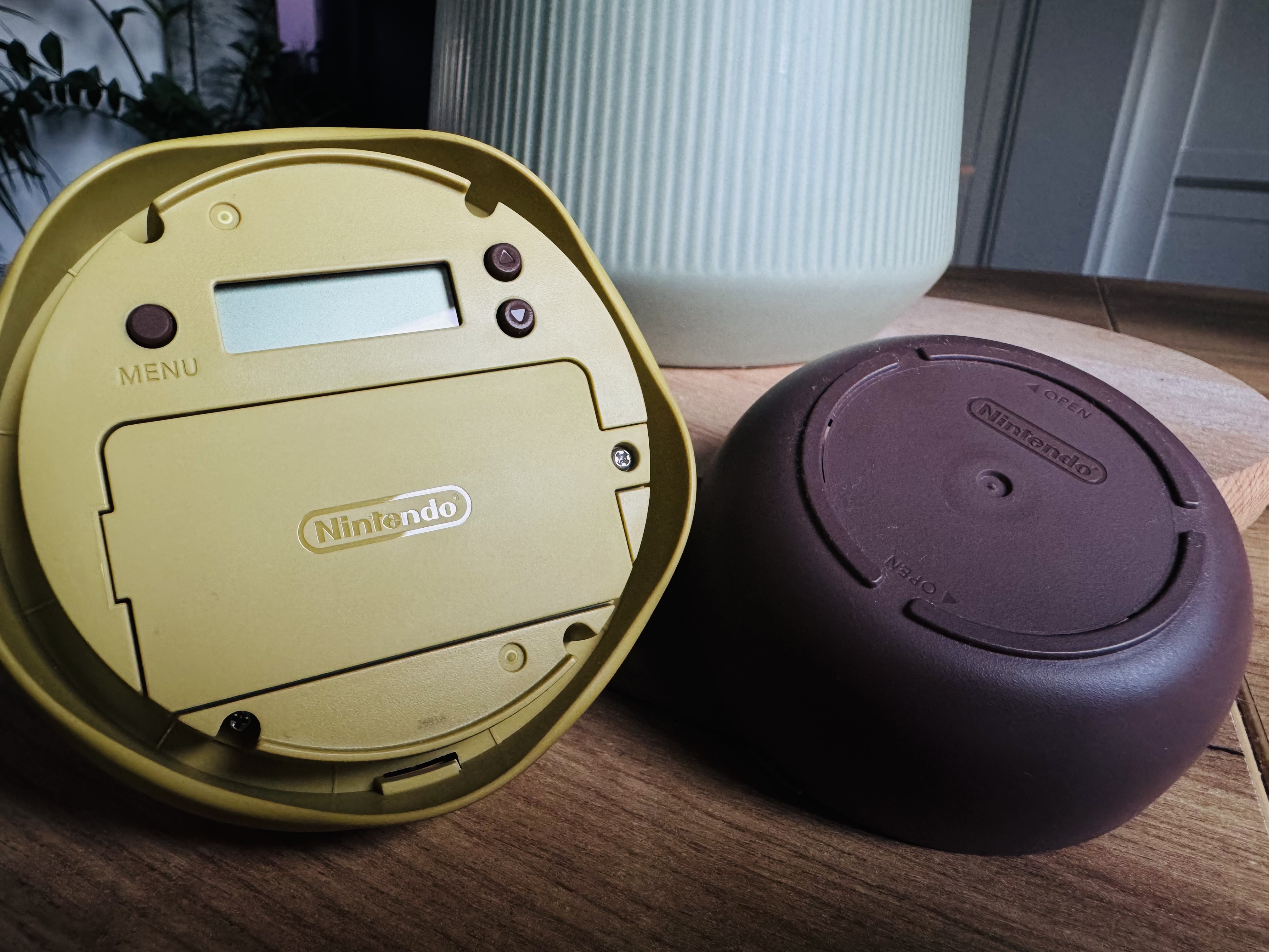 Nintendo Talking Flower - recenzja. Otwarta doniczka