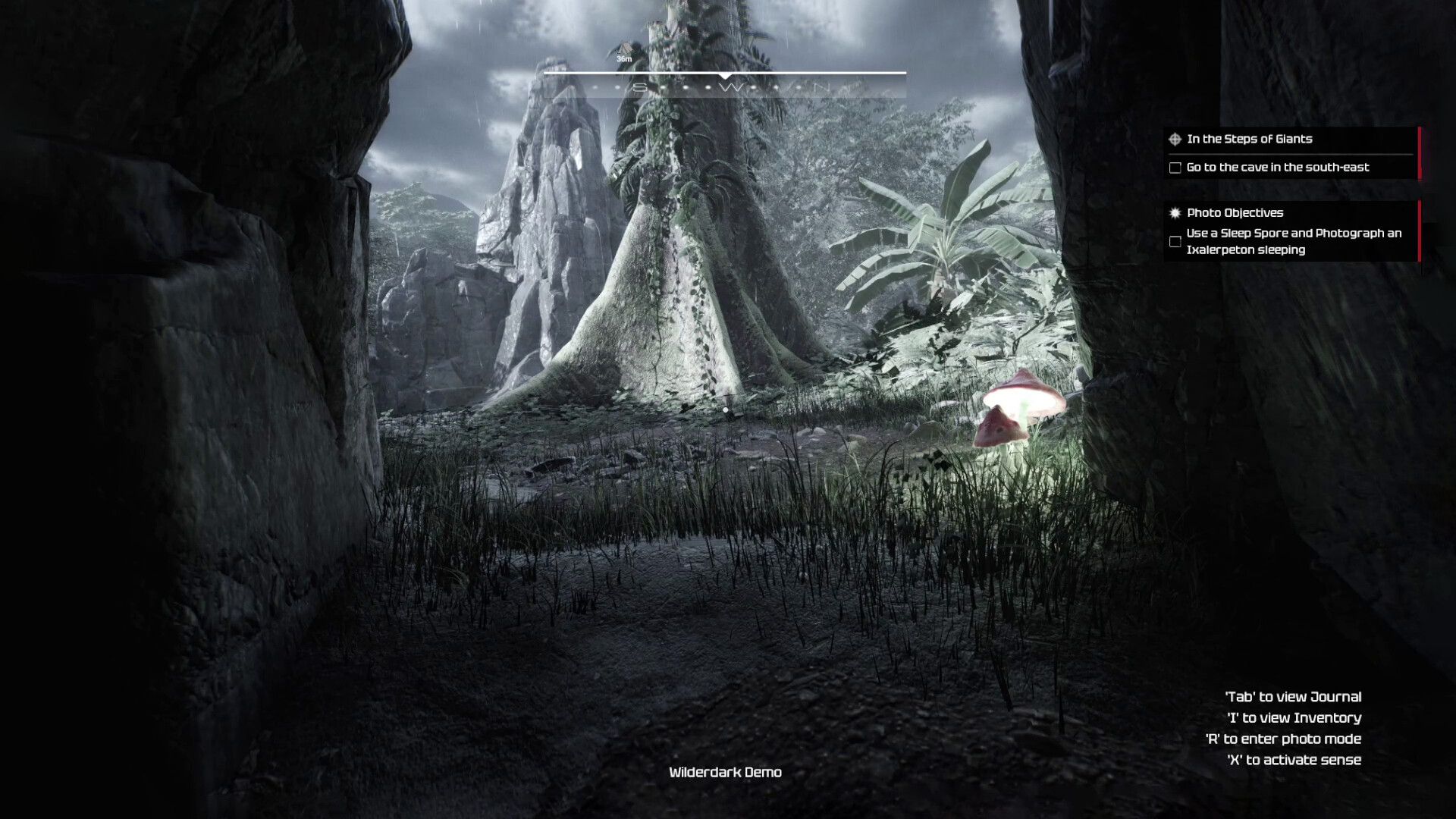 Wilderdark #3