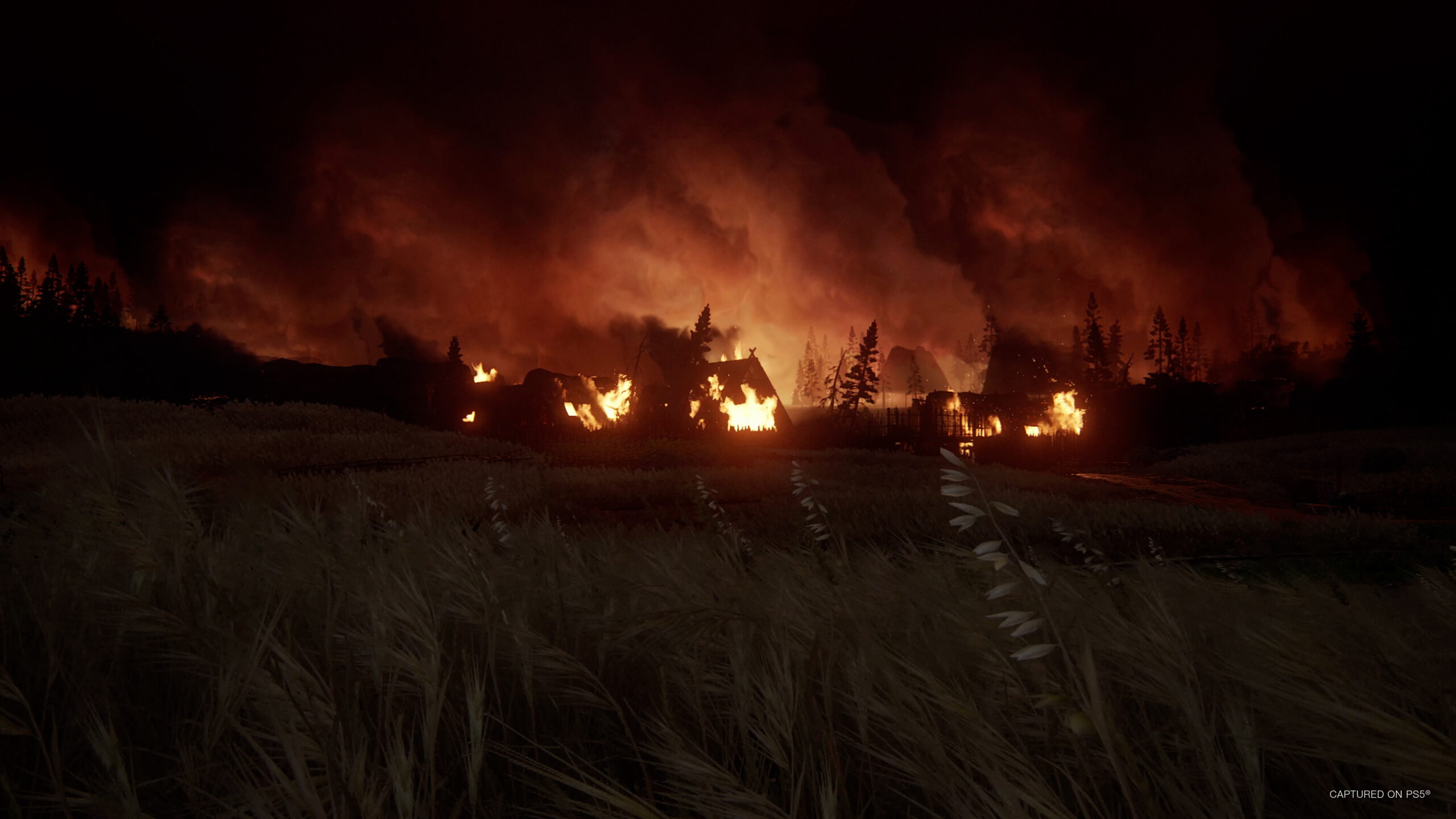 The Last of Us 2 Remastered #9