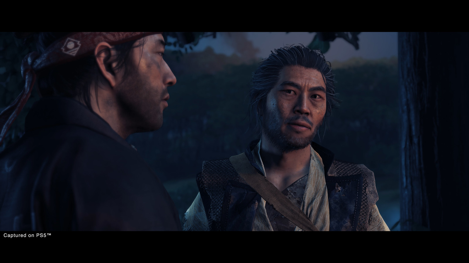 Ghost of Tsushima Director's Cut  #2