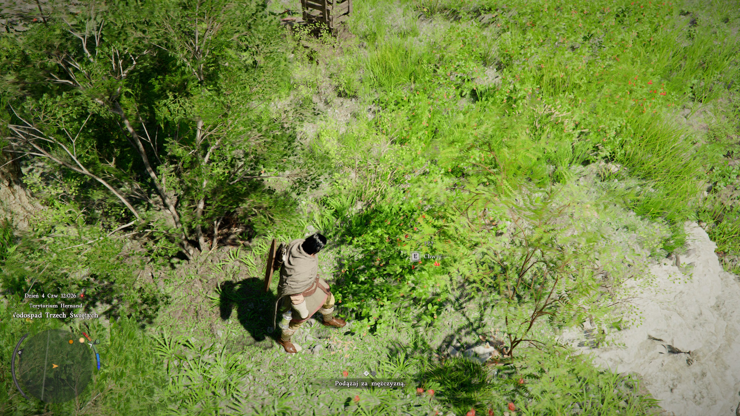 Crimson Desert - Wskaźnik interakcji, schematy do zebrania do gotowania