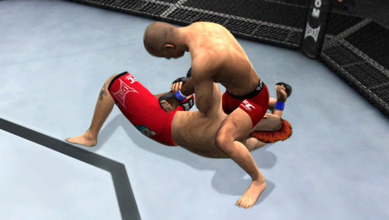UFC 2010 na PSP wygląda świetnie
