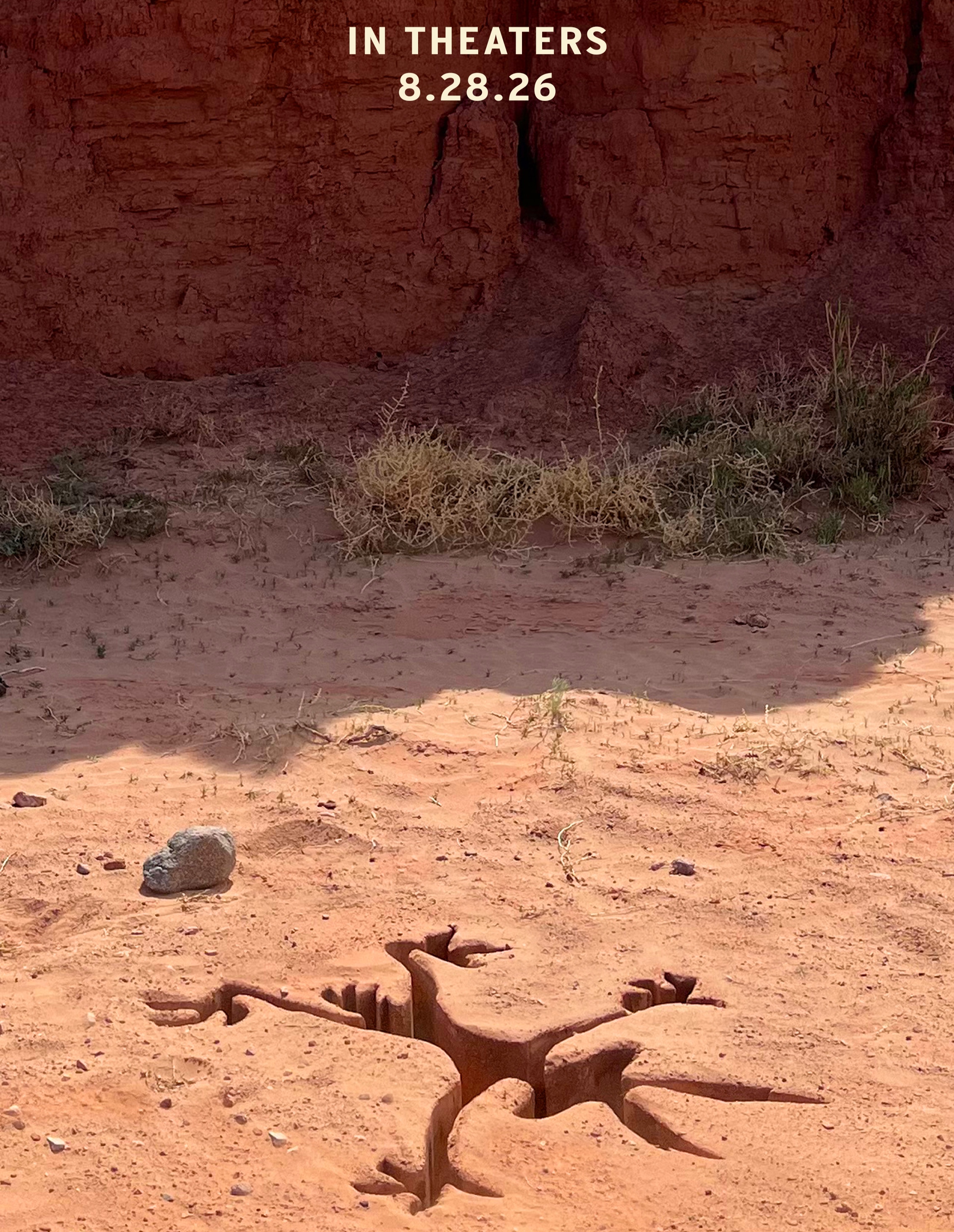 Coyote vs. Acme plakat