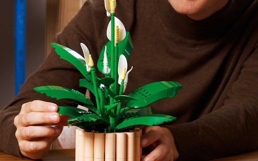 Piękny zestaw LEGO Botanicals z Skrzydłokwiatem - za 161 zł zamiast 259 zł