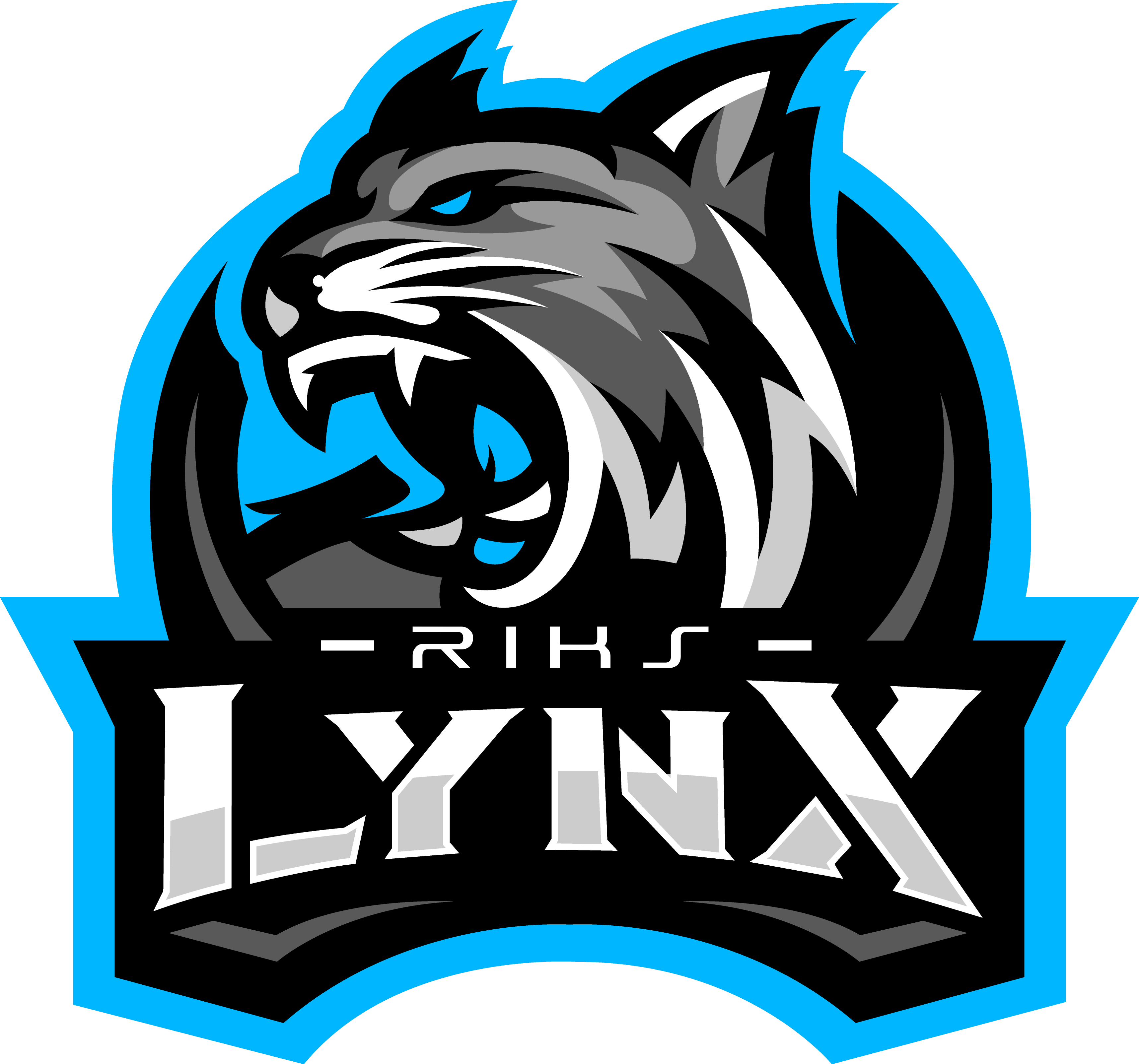 Avatar RiksLynX