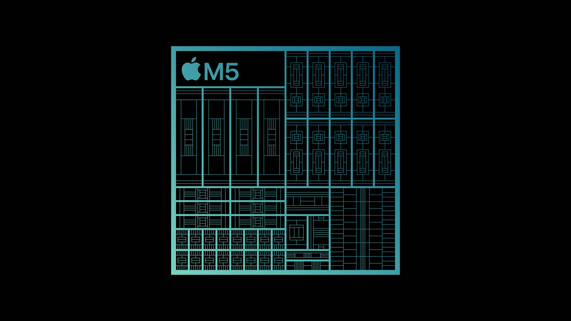 M5