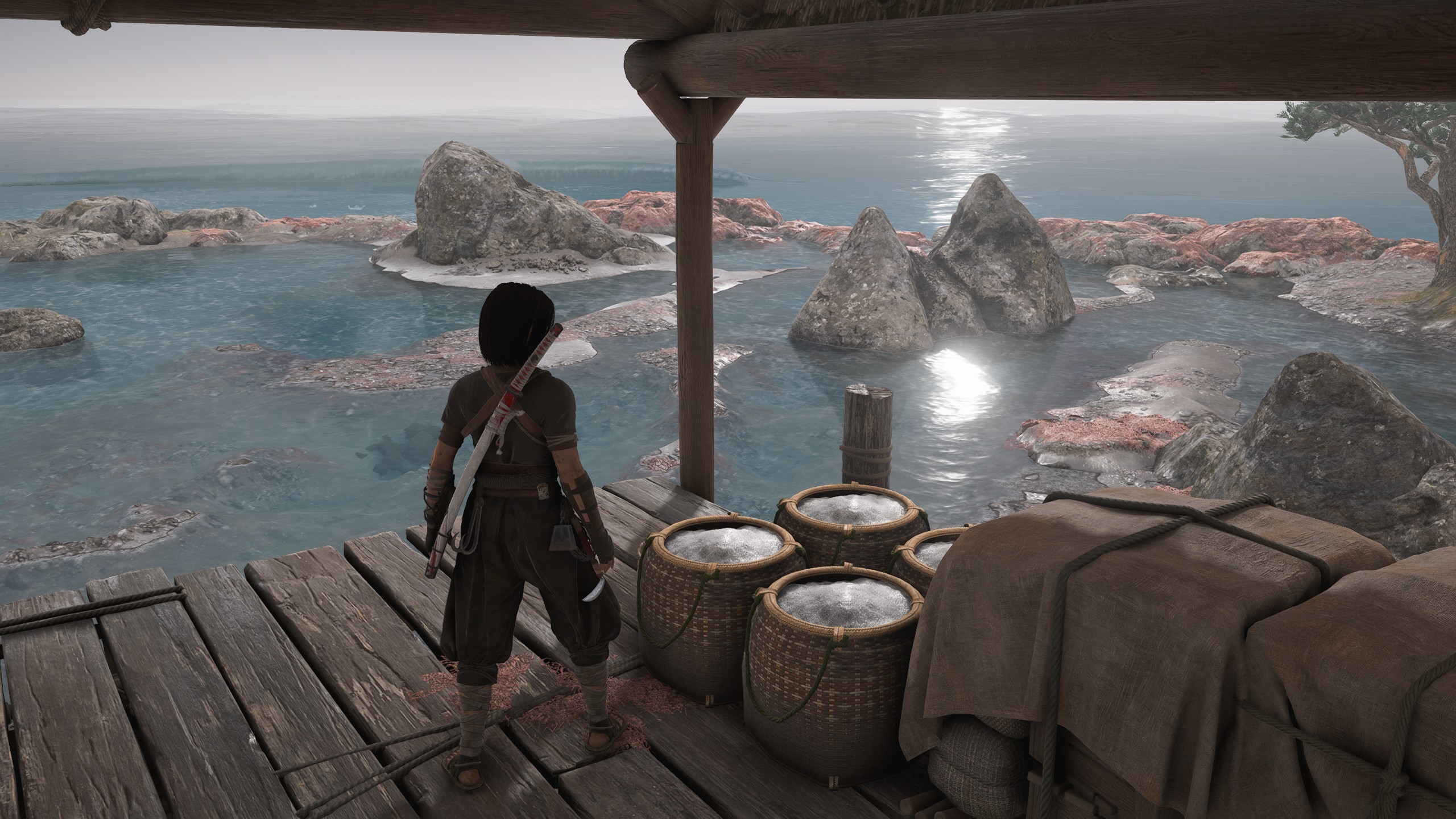 Assassin's Creed Shadows - Przechylanie szali, Źli ludzie dobrze sypiają: ashigaru, środek usypiający, rejestr