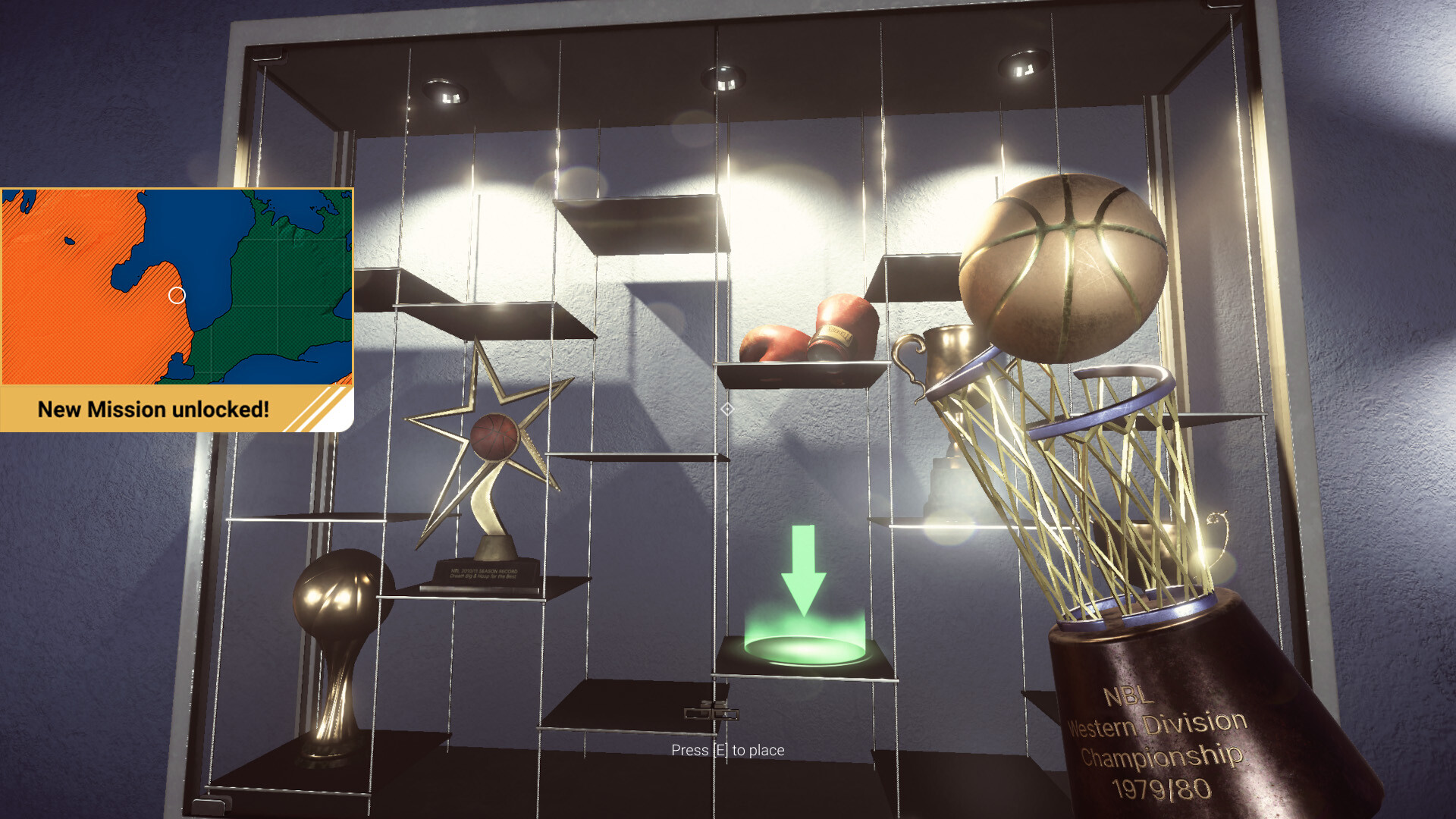Sports: Renovations #8