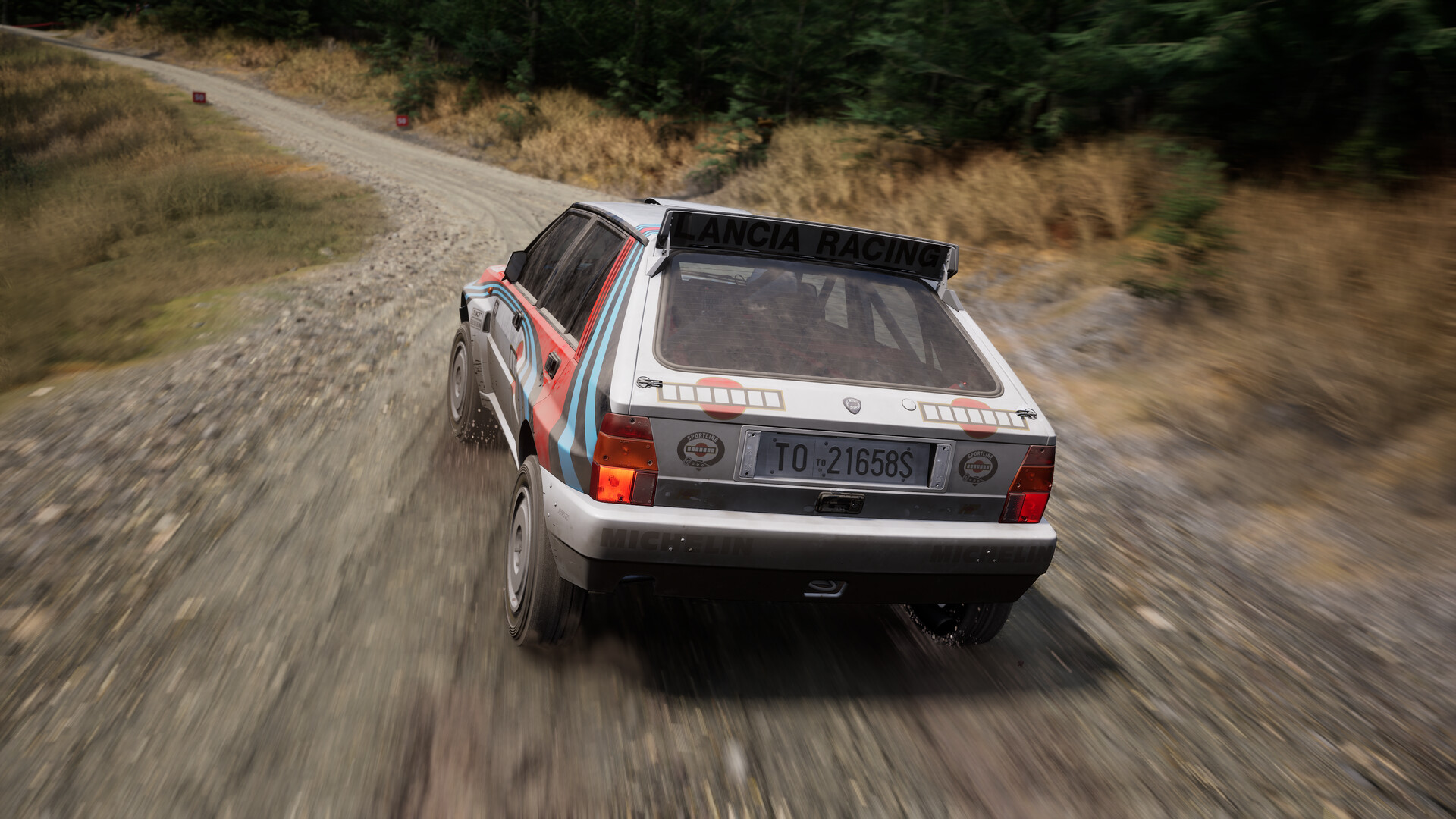 Assetto Corsa Rally #17
