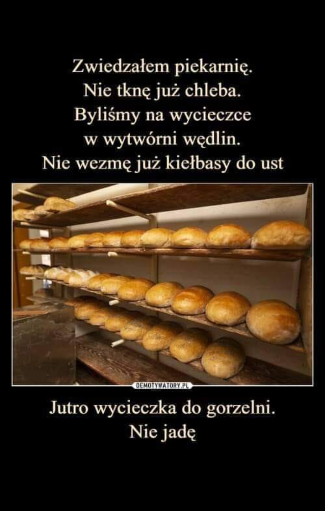 user-43088 blog gallery image