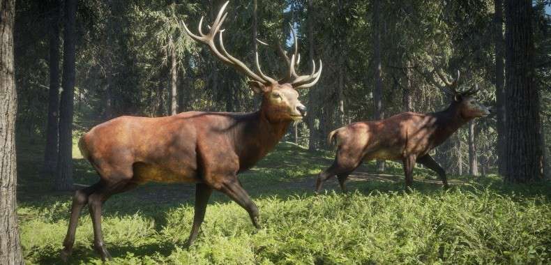 theHunter: Call of the Wild na PlayStation 4 i Xbox One. Wielkie polowanie również na konsolach