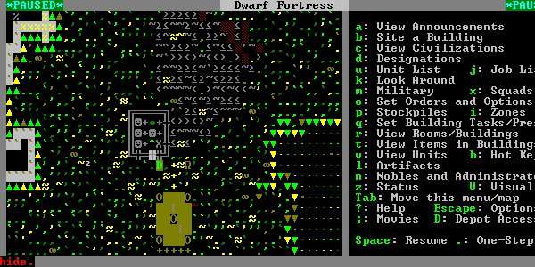 Dwarf Fortress