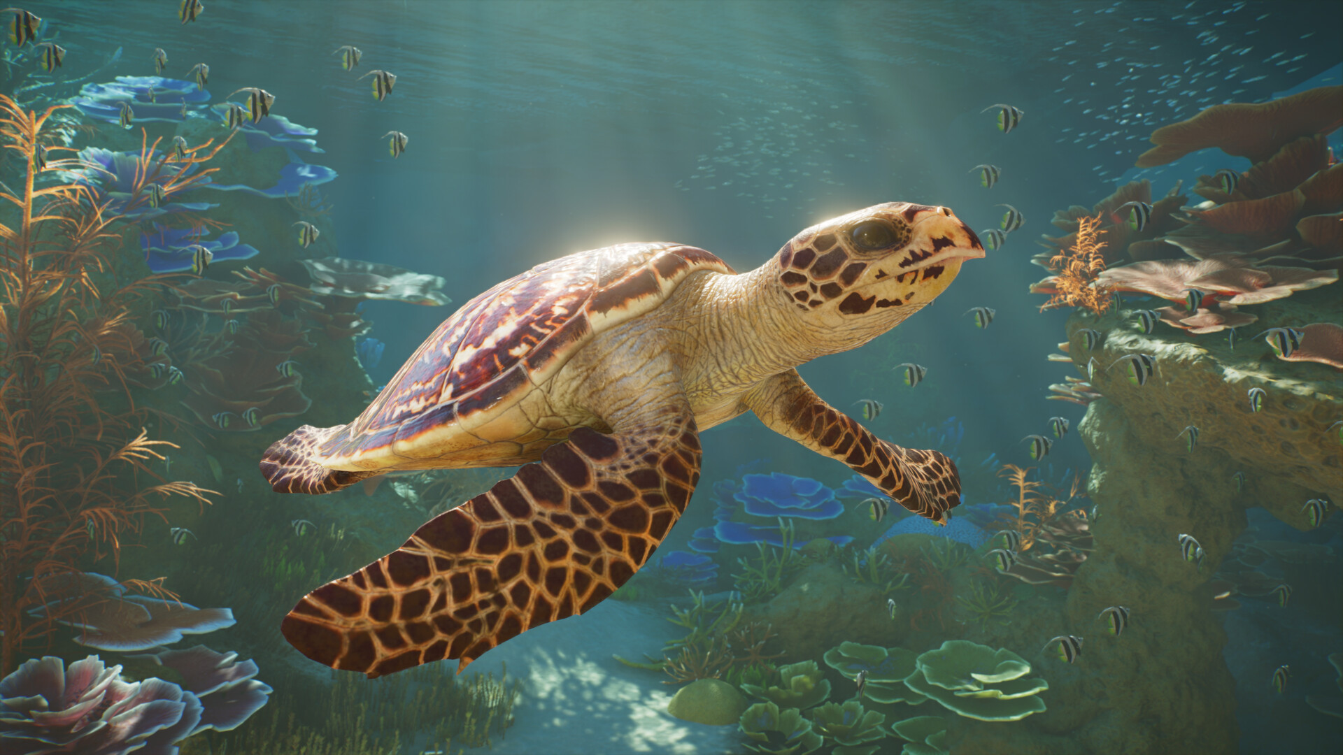 Planet Zoo 2 #3