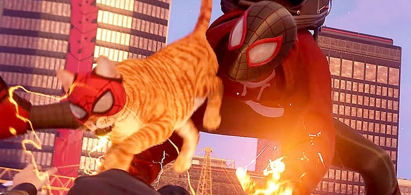 Spider-Man: Miles Morales i Spider-Cat. Gameplay potwierdza nowego towarzysza głównego bohatera