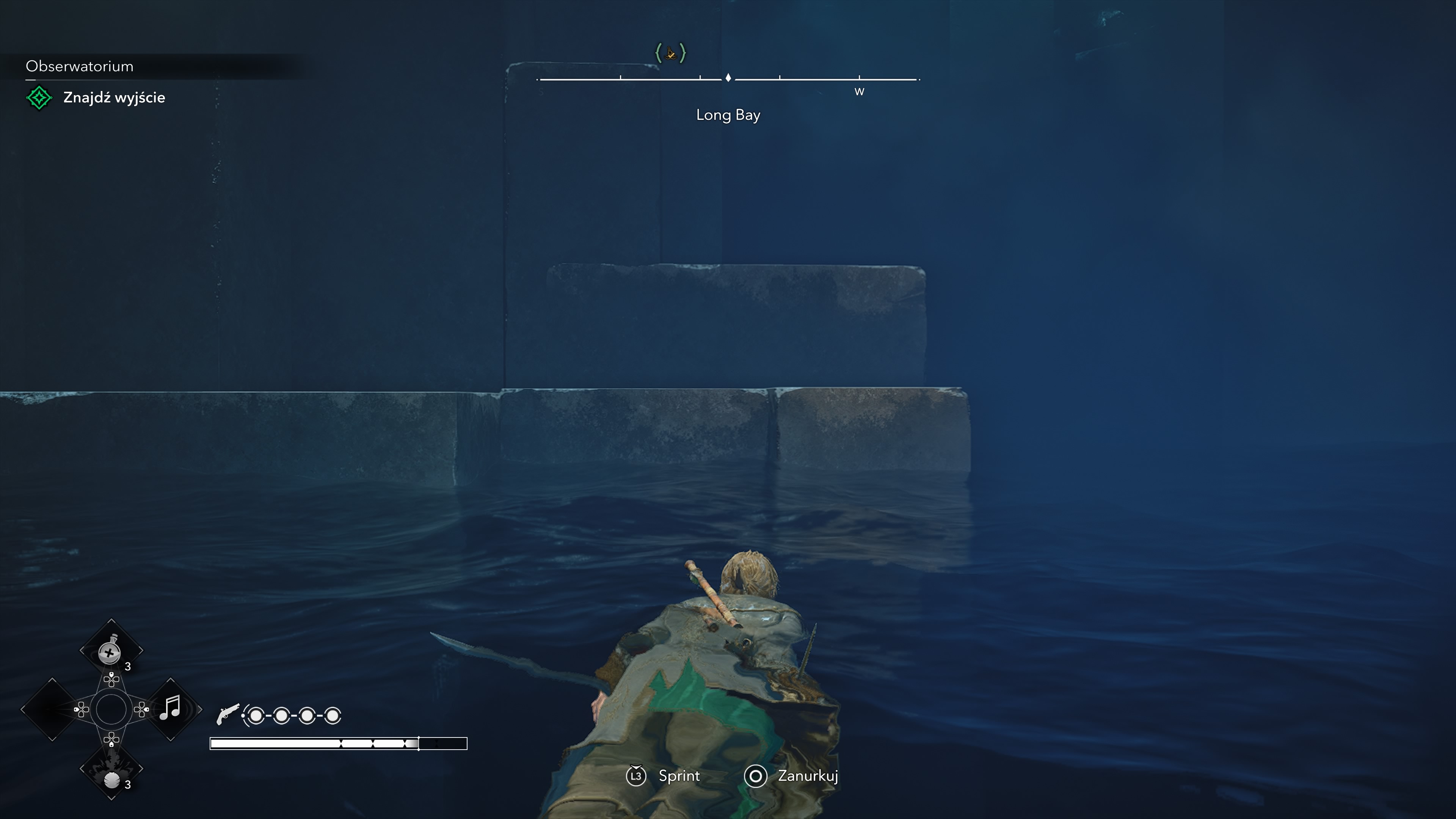 Assassin's Creed Black Flag Resynced - Obserwatorium: tubylcy, śledzenie, zdrada