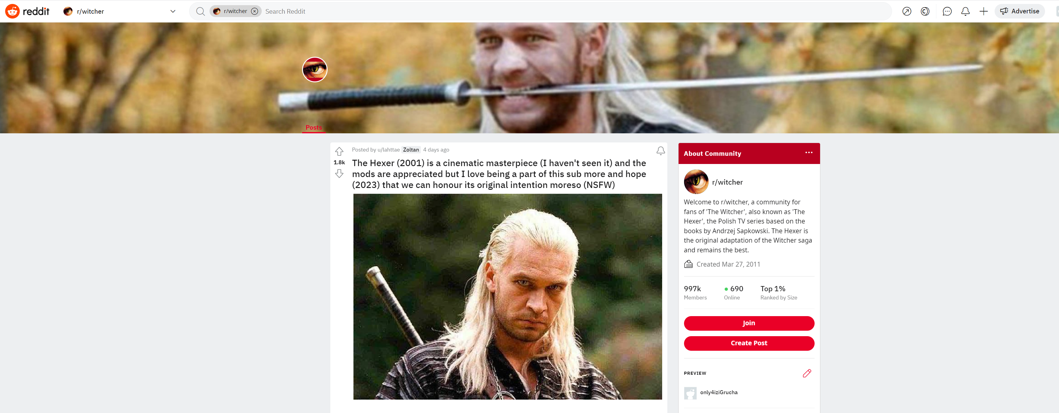 Wiedźmin Reddit