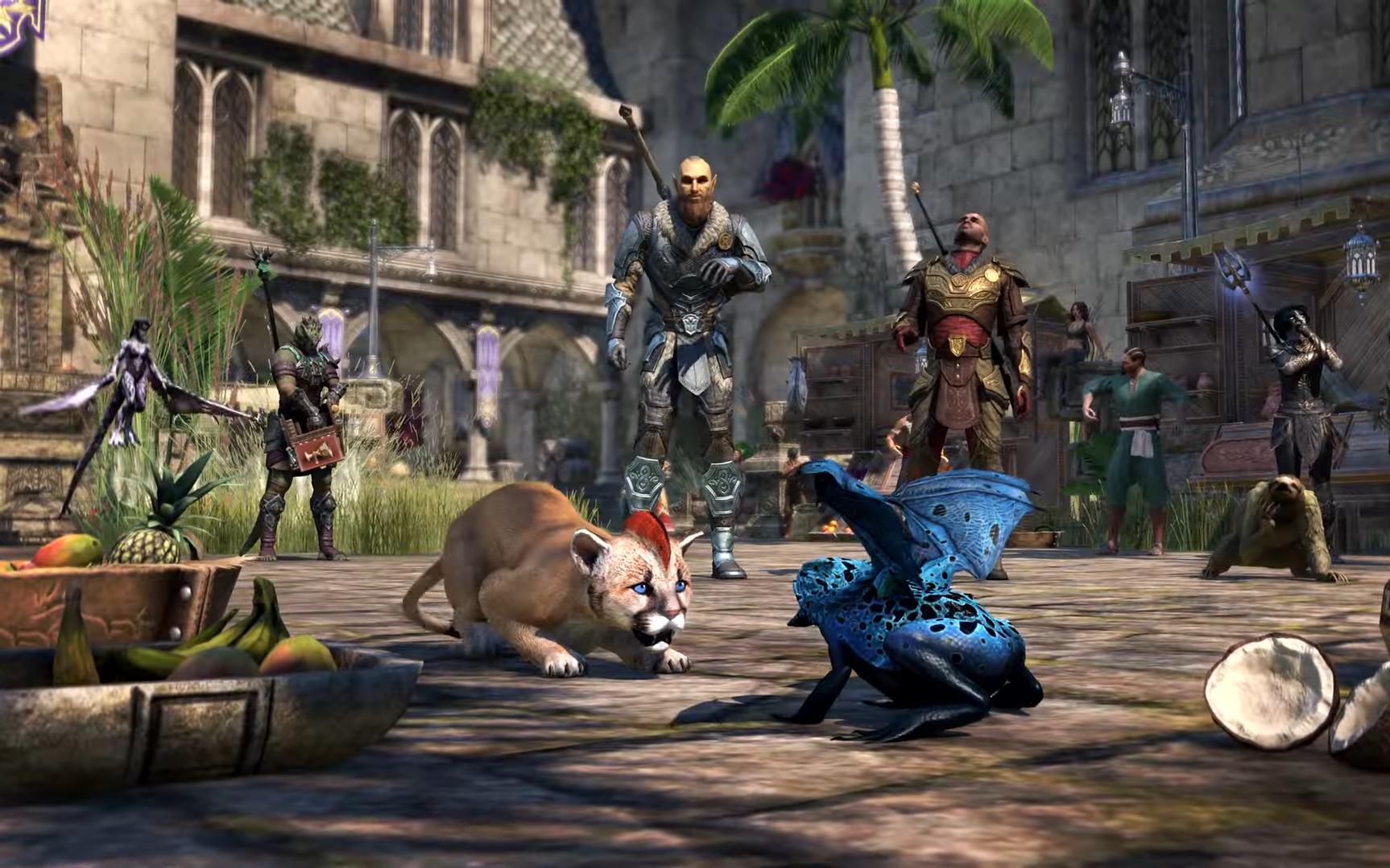 The Elder Scrolls Online