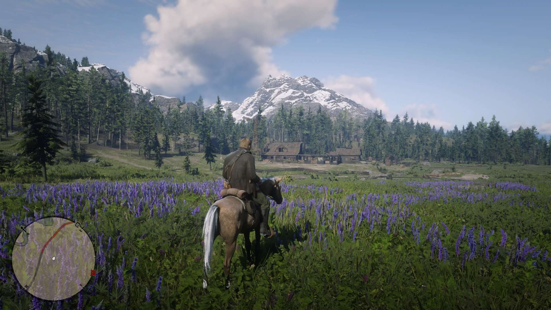 &quot;Mistrzowskie promocje&quot; Cenegi